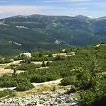 Labska *
